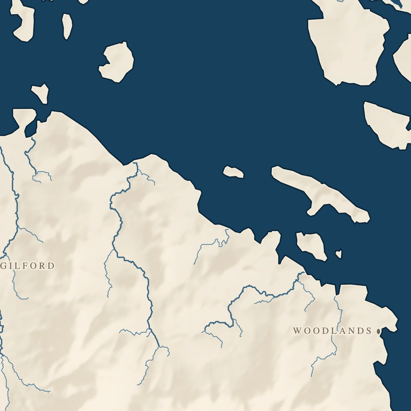 Lake Winnipesaukee, detail at print scale